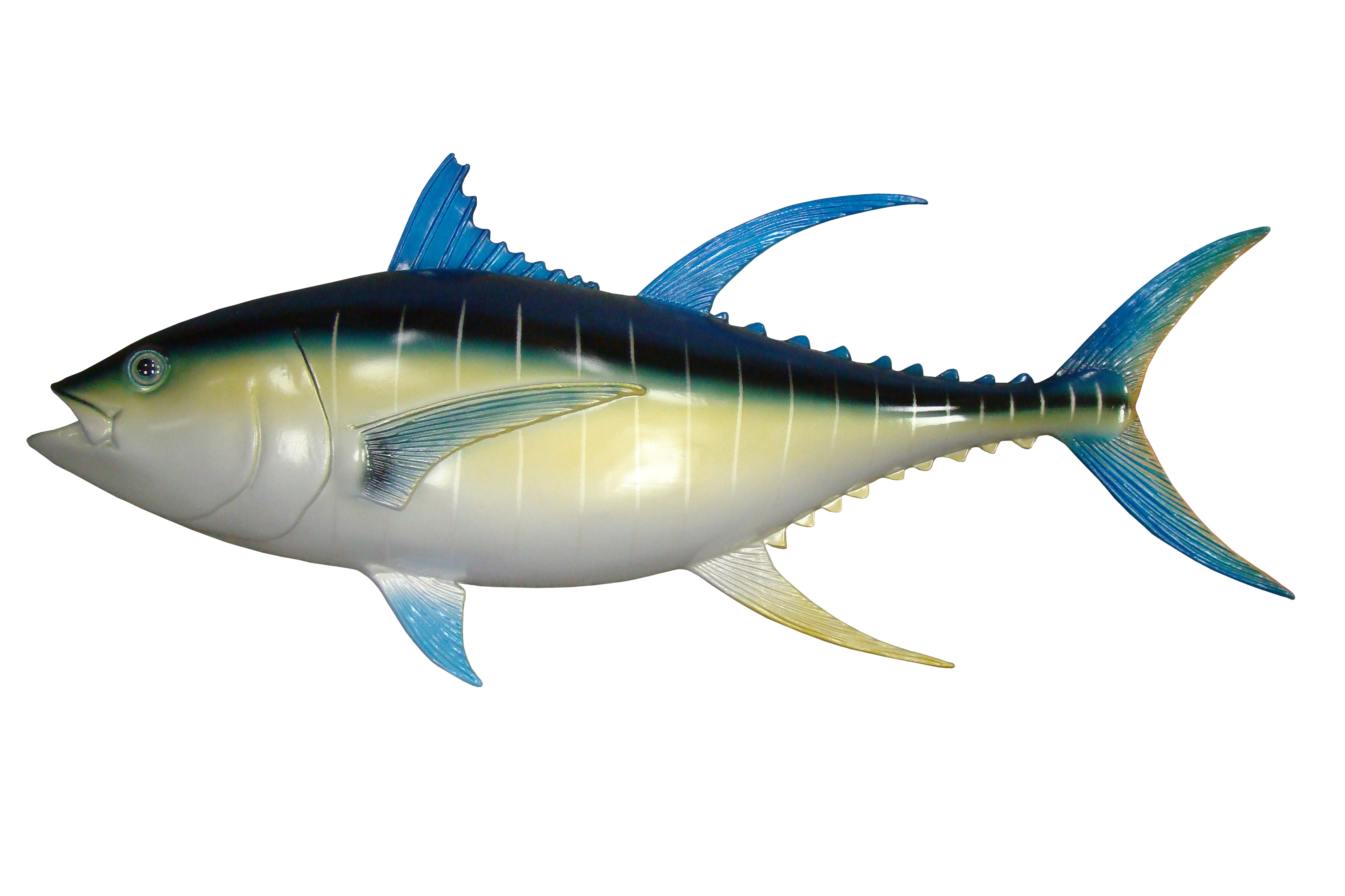 Bluefin Tuna