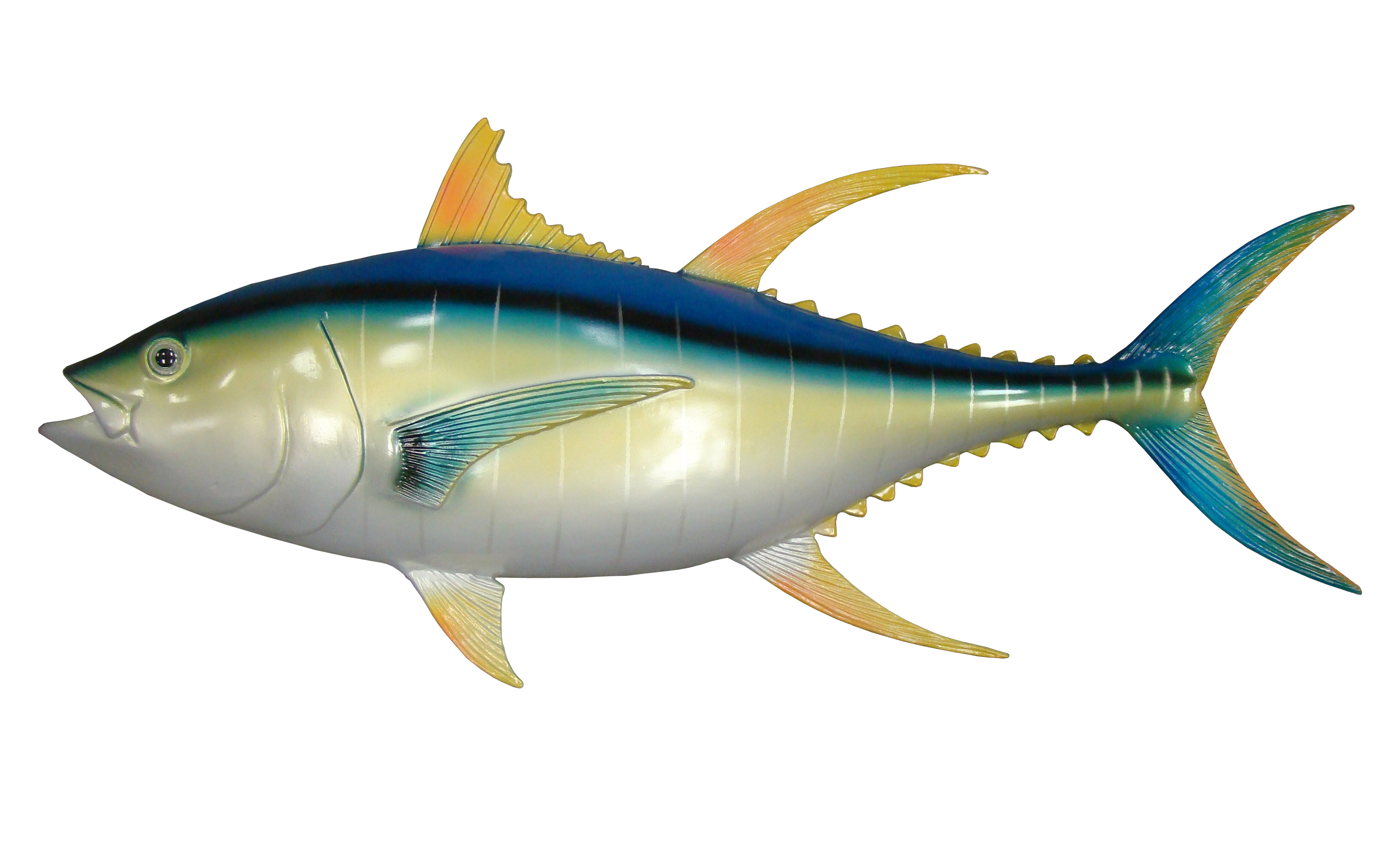 Yellowfin Tuna